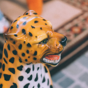 Sunday - VODDEMET - Brussels Flea Market